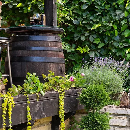 Komitata-pool&jacuzzi * Balchik