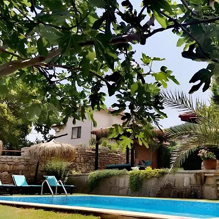 Villa Komitata-pool And Jacuzzi Balchik