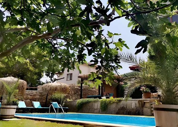 Villa Komitata-pool And Jacuzzi Balchik